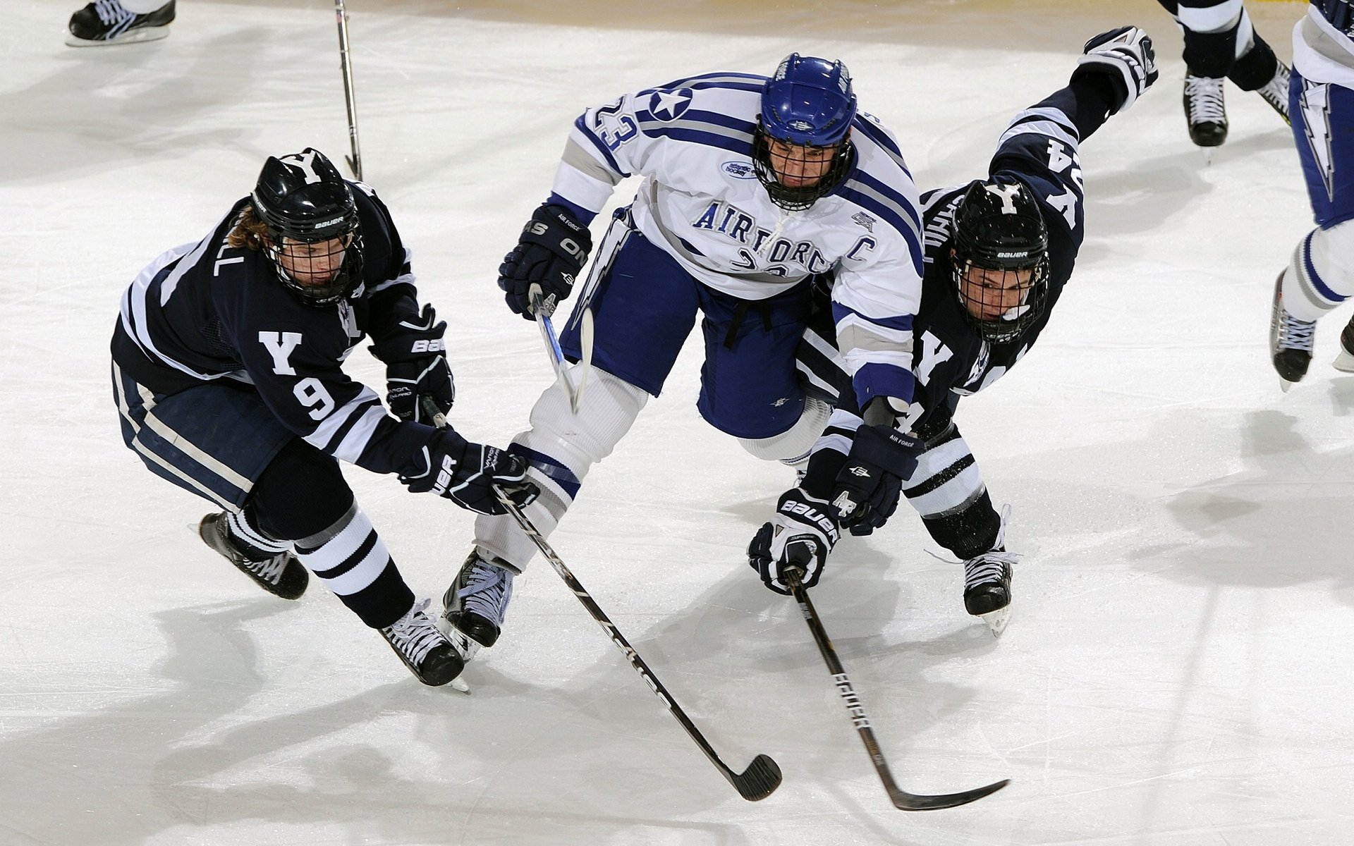 马拉松接力赛：团队协作的胜利，马拉松接力赛规则